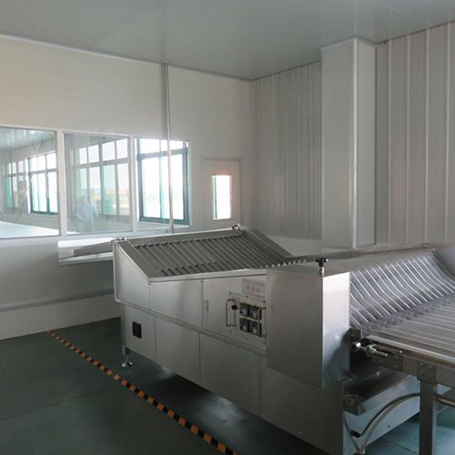 Soft Biscuit Production Line