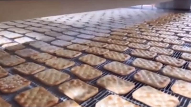 Hard Biscuit Production Line